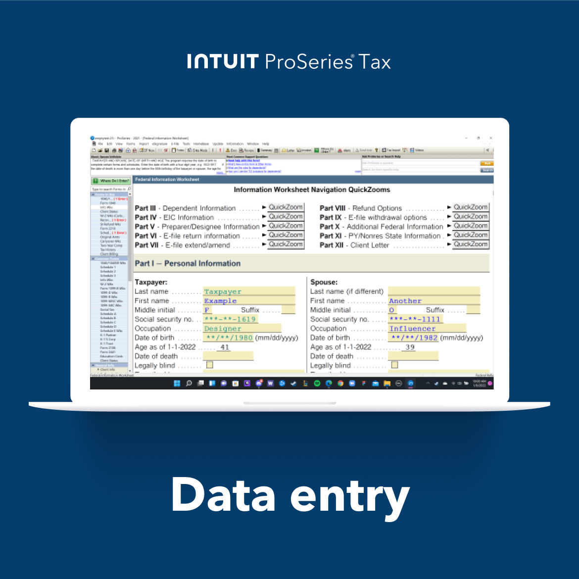 screenshot of ProSeries Tax